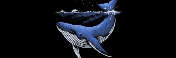 Cryptosulli01 Profile Banner