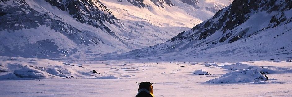 Fex Power Colt banner