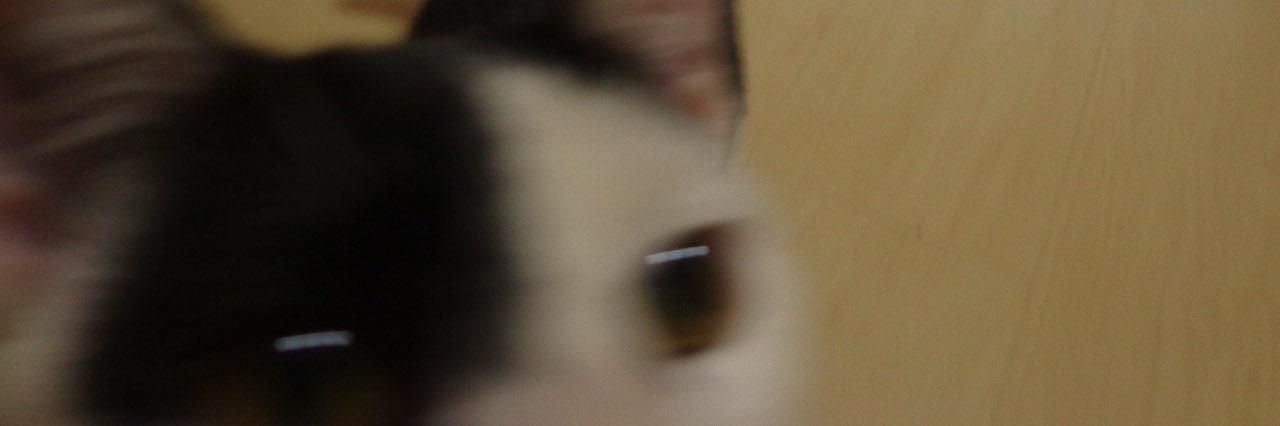 hmelows's profile banner image