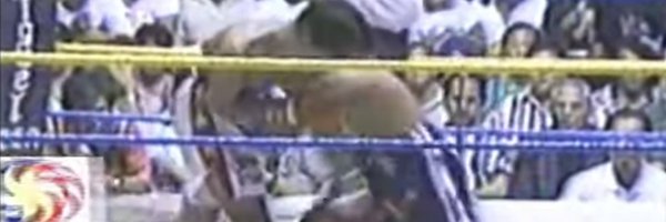 mini_mosca_ Profile Banner