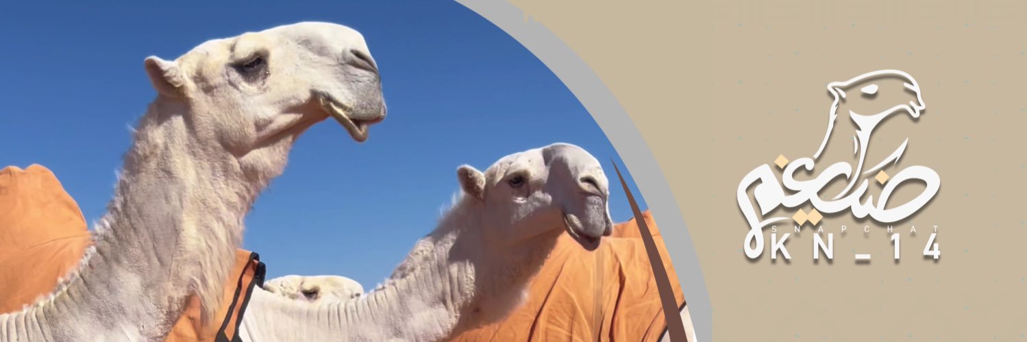 ضيغم 🐪📸 banner