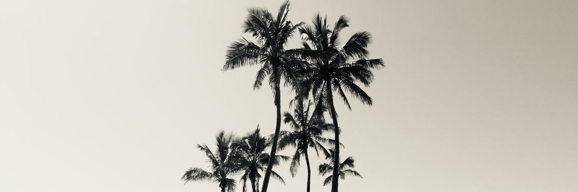 avxll6's profile banner image