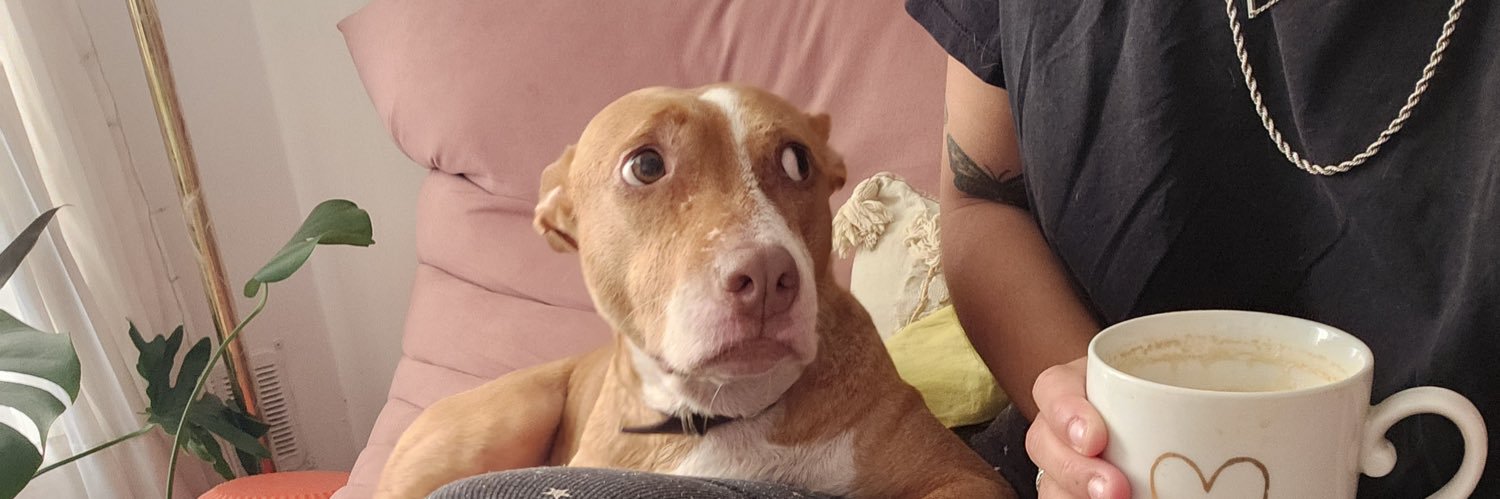 pepaborgna's profile banner image