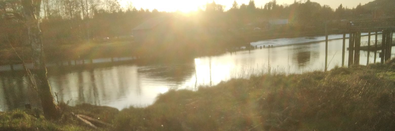 TitusGill6's profile banner image