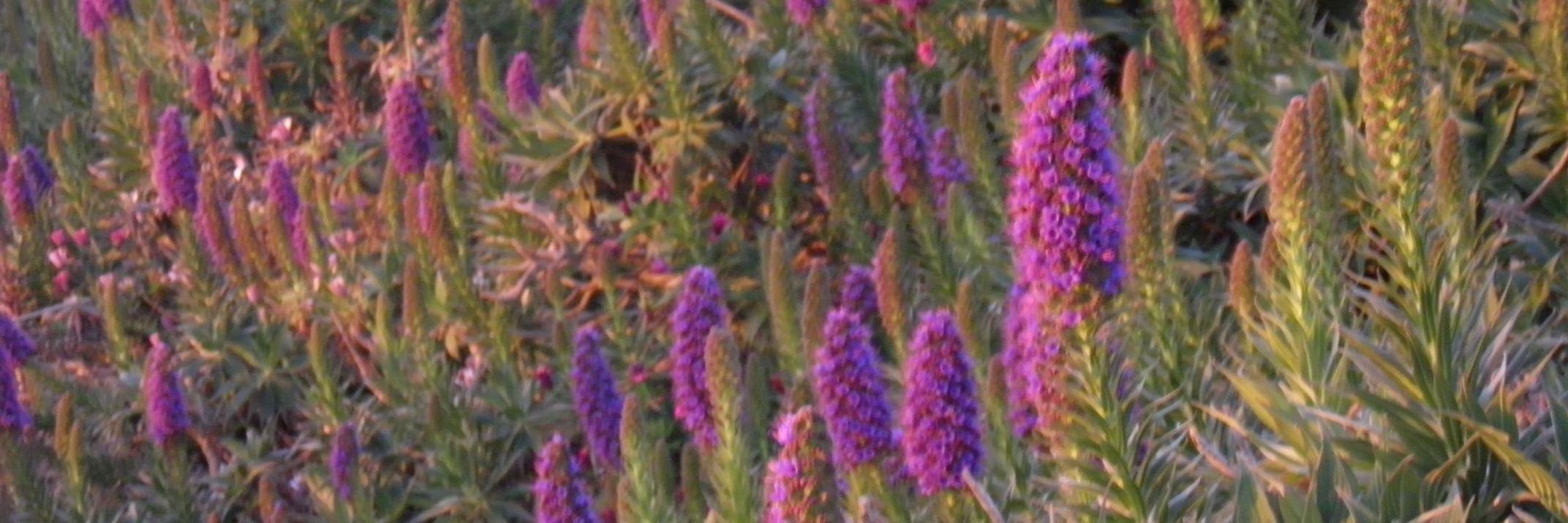 ttijoux's profile banner image