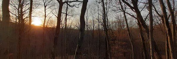 savebuttonhook Profile Banner