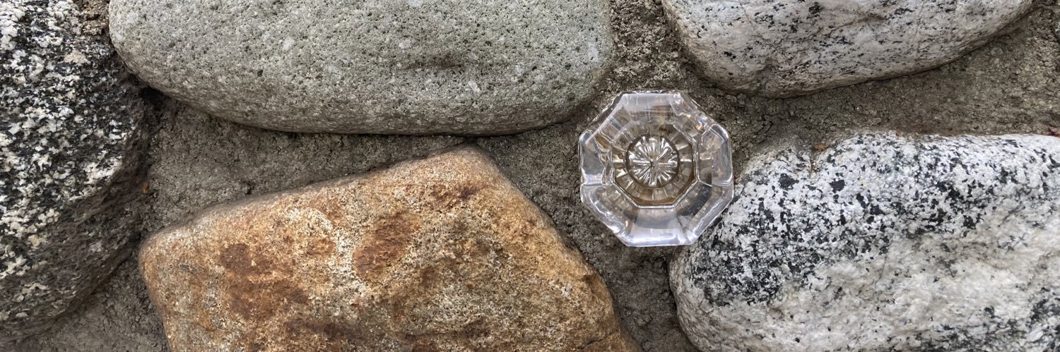 Michele Scott banner