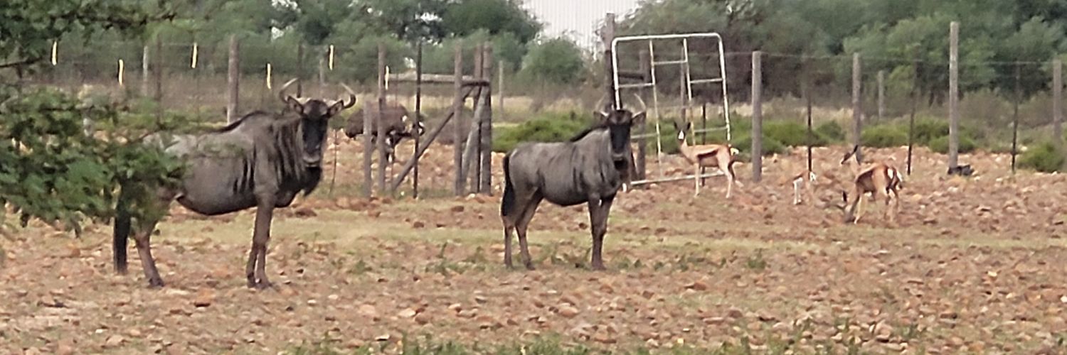 Alwyn de Bruyn banner