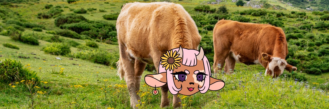 Moomellow's banner