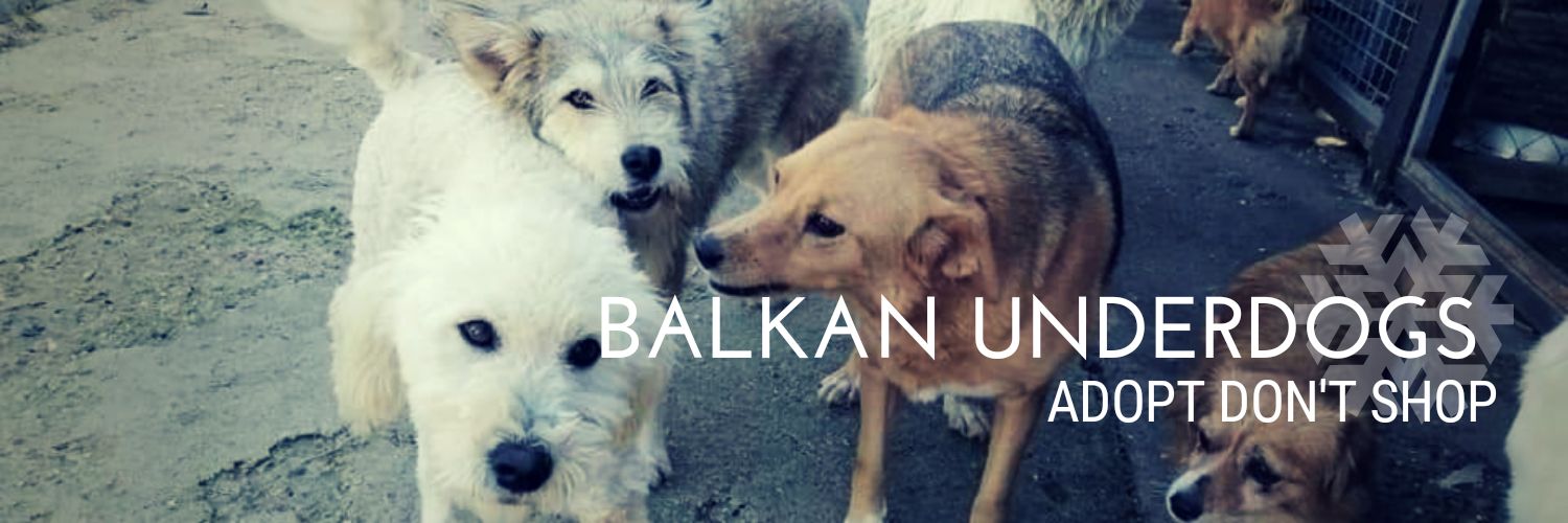 BalkanUnderdogs's profile banner image