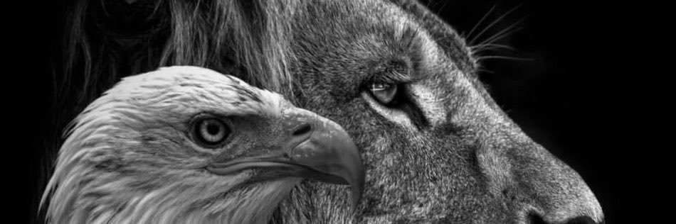 Vahel_razvan's profile banner image