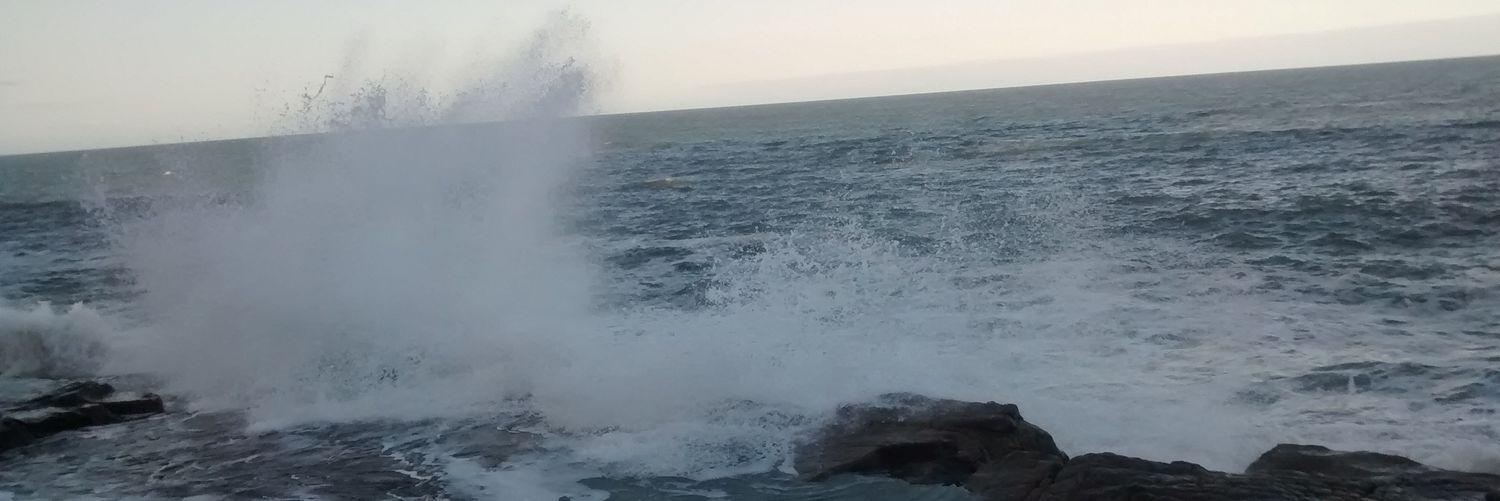 AJCervigni's profile banner image