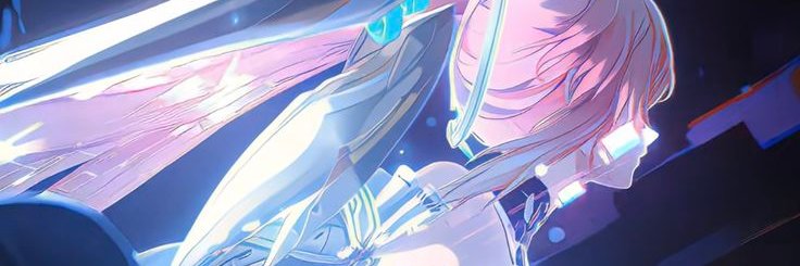 Moonie banner