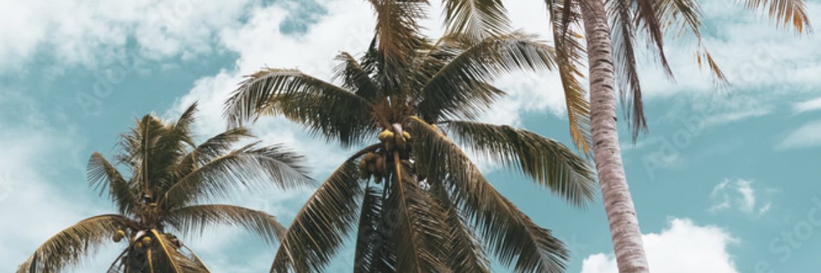 RachelBiton23's profile banner image