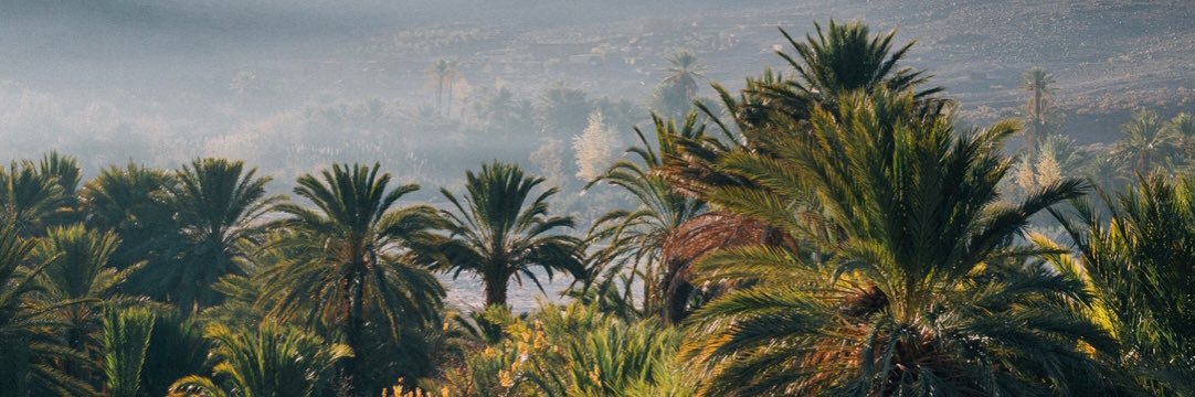 Michel Lumensolis banner