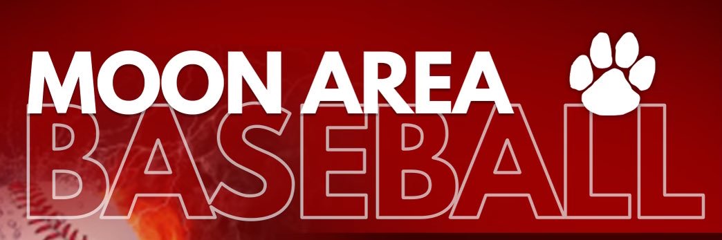 Moon Area Tigers Baseball banner