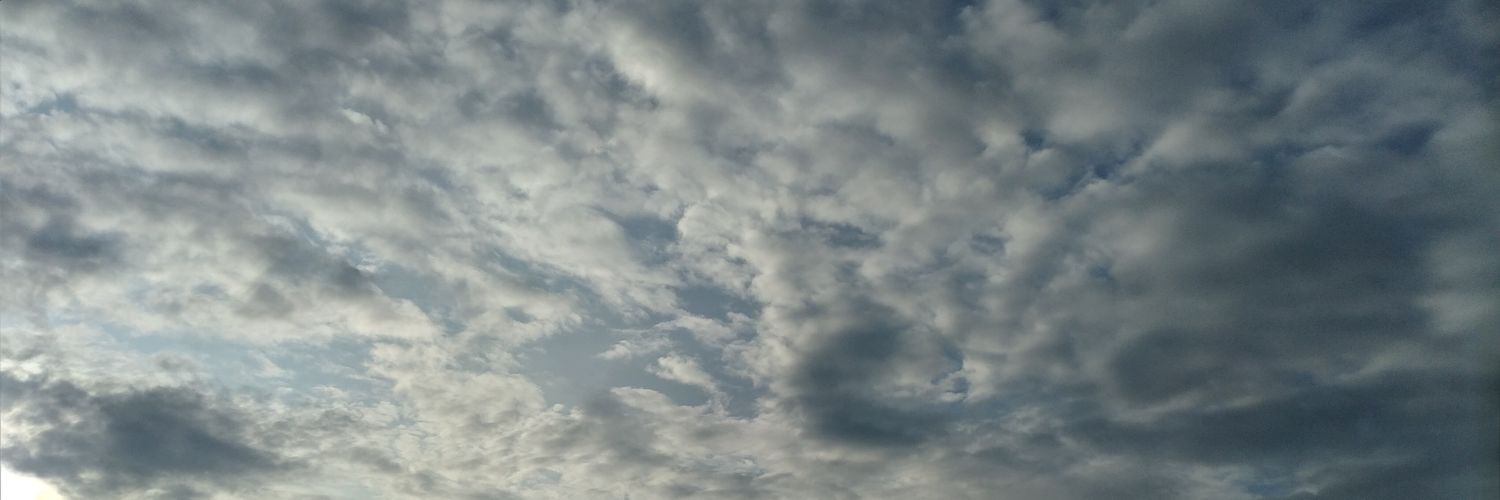 nwksrt's profile banner image