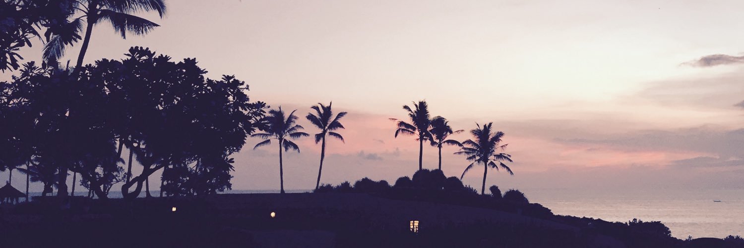 lebabiboo's profile banner image