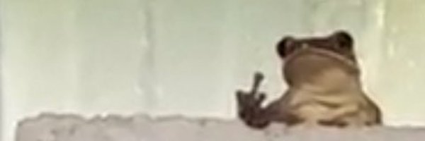 _Ltime29 Profile Banner