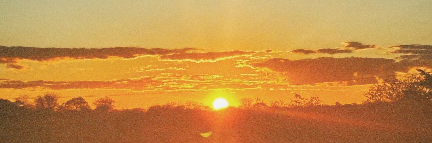 laylordrs's profile banner image
