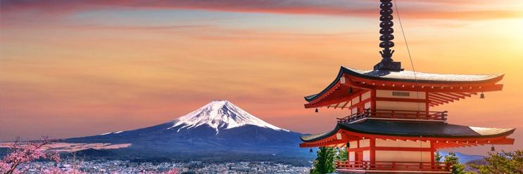 Thiago Nishiyama banner