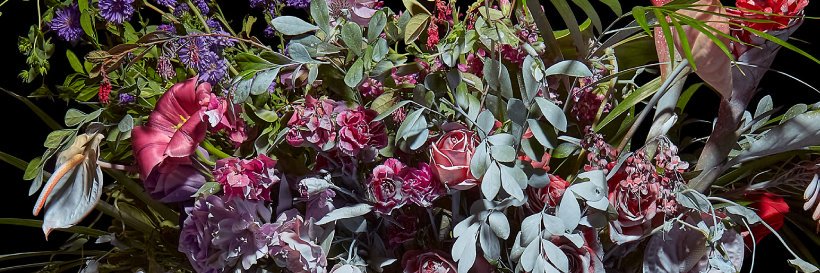 Cynthia Fión banner