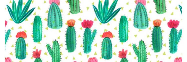 lindakearns's profile banner image