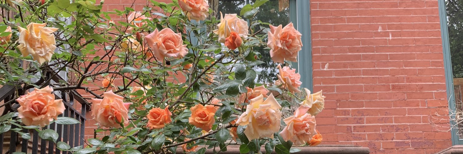 SomethinglikeOlivia banner