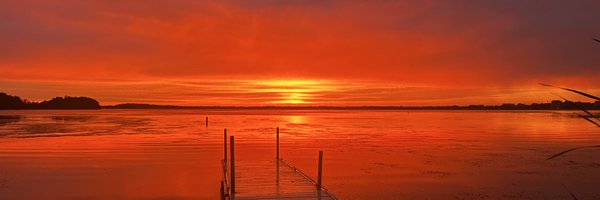 darkbucky4303 Profile Banner