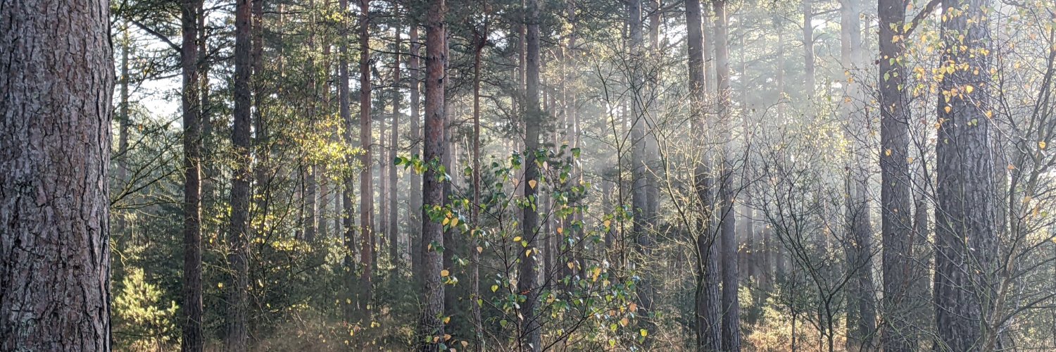 mgreenaw's profile banner image