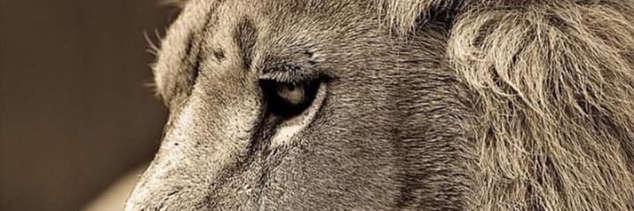 CRAIGFRANCZYK's profile banner image