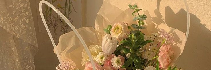 vxoseri's profile banner image