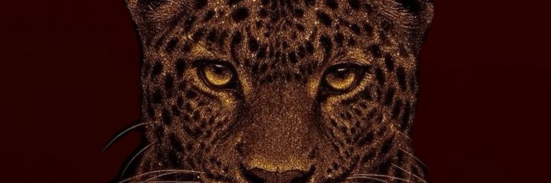 lilyroar7's profile banner image