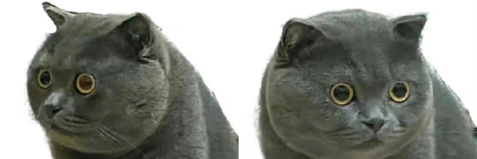 aiasshaa's profile banner image