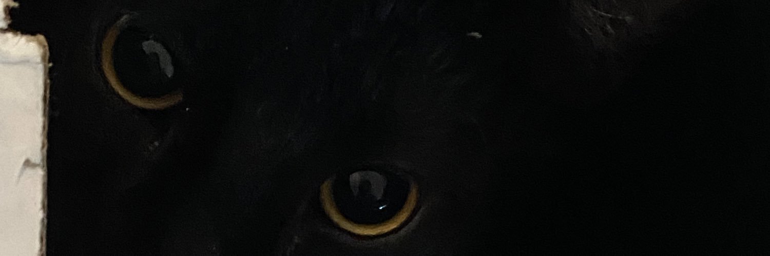 gorlnt's profile banner image