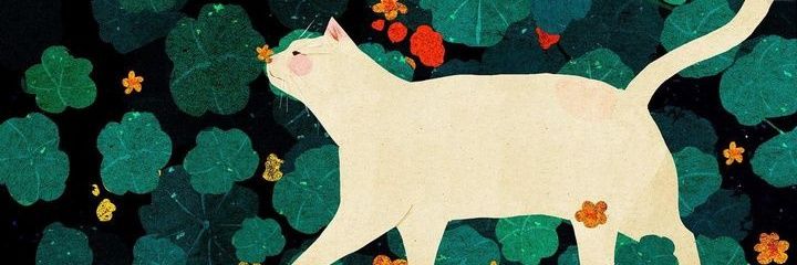 VaApol's profile banner image