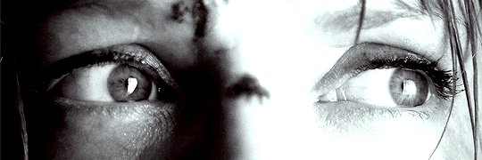 blazetook's profile banner image