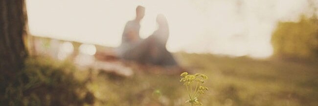 gina_rocha's profile banner image