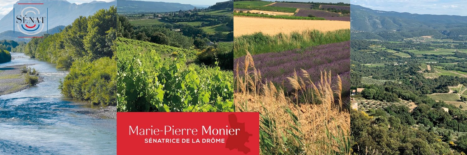 Marie-Pierre Monier banner