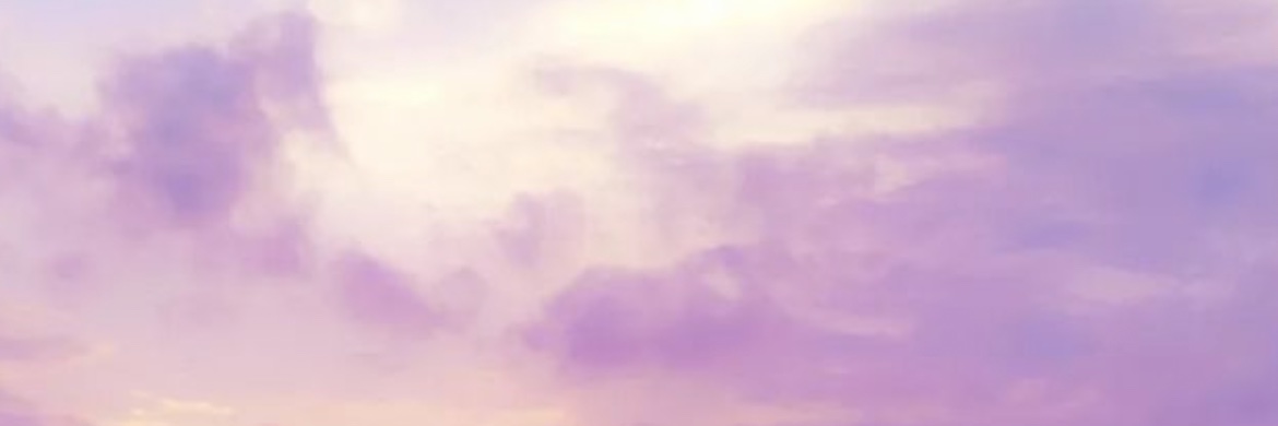 ViiaTweet's profile banner image