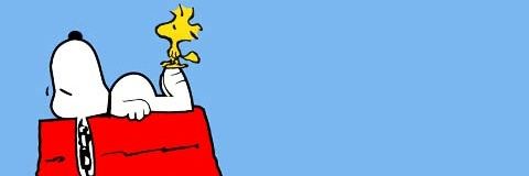 Dan_Avi's profile banner image