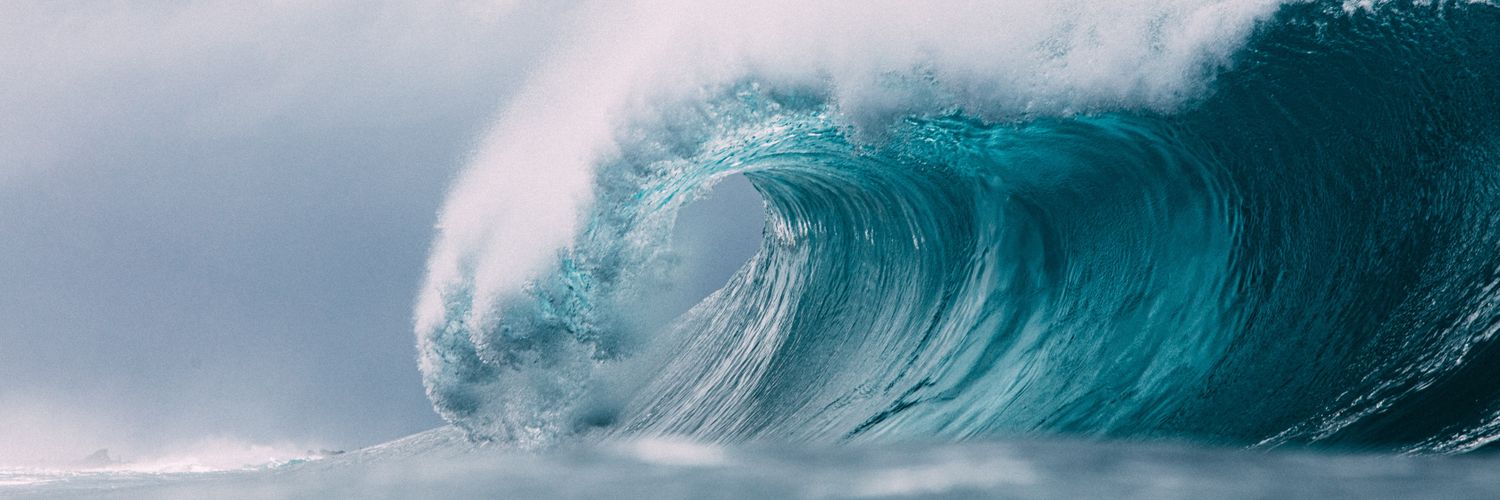 Surf Live banner