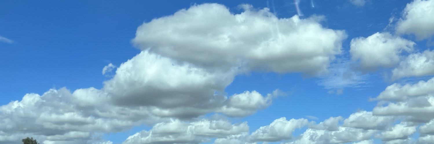 didieshafee's profile banner image