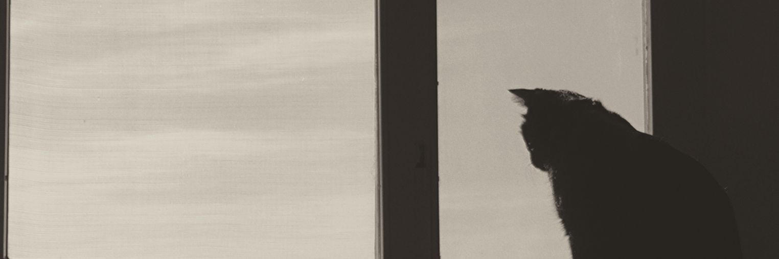 BigSad___'s profile banner image