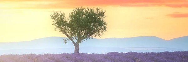 AdrienNoat Profile Banner