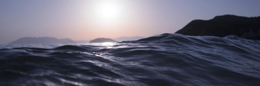 Manasvini Krishna banner