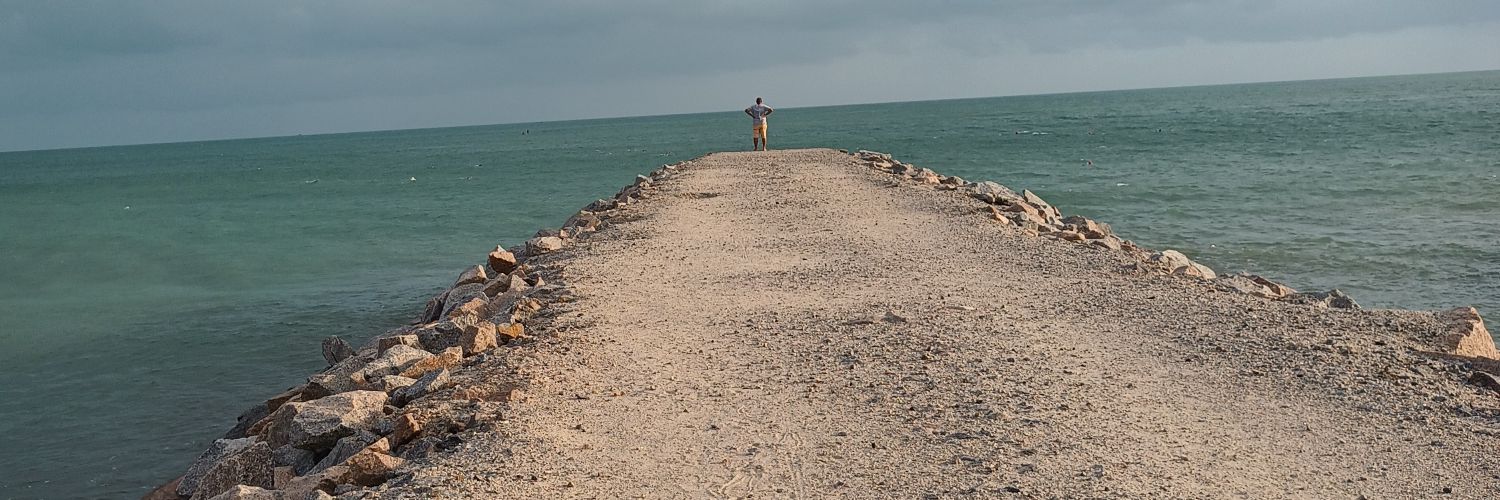 pedoidin's profile banner image