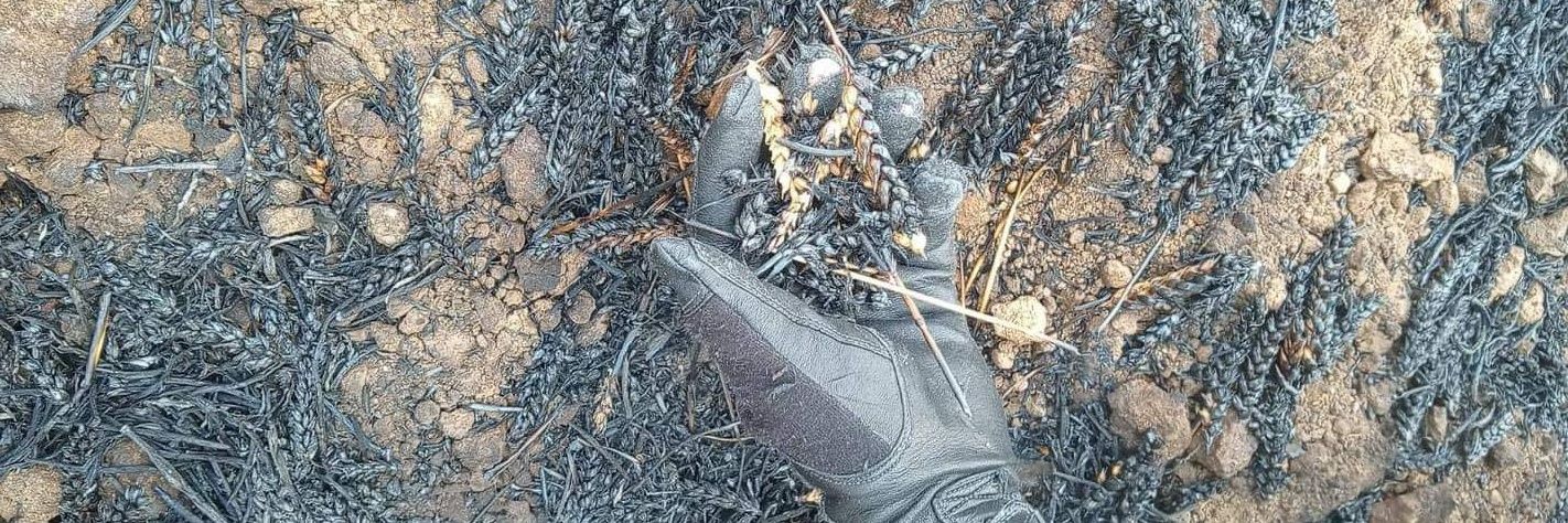 Blood Ambassador banner