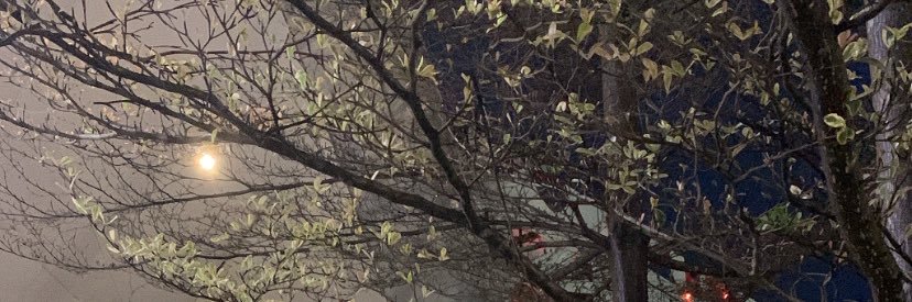 Ku_romi00's profile banner image