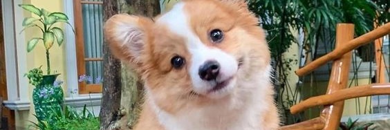 labeeb_17's profile banner image